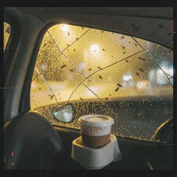 Windshield Full of Insects