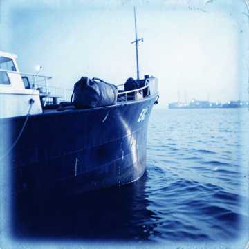 Ferry Back