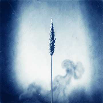 Midi Sans Nuage